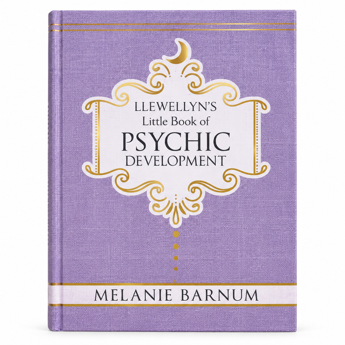 Llewellyn's Little Book of Psychic Development by Melanie Barnum