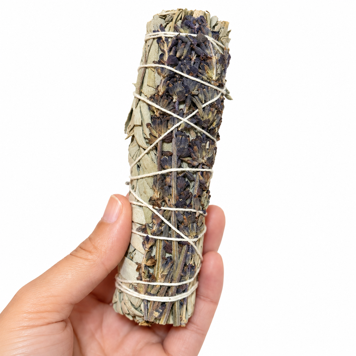 White Sage and Lavender Bundle held in hand on a clean white background