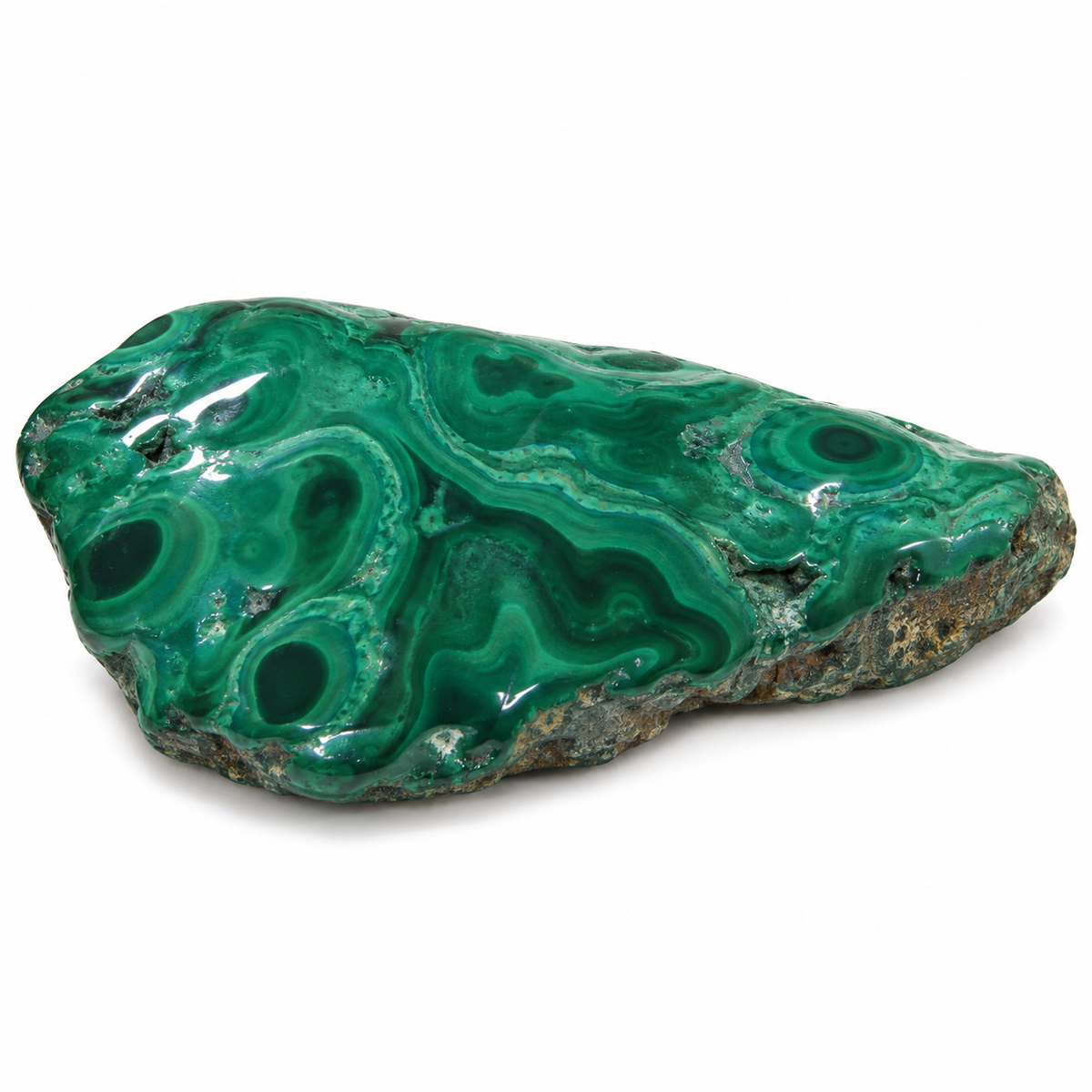 Representative flatter elongated polished malachite variation on white