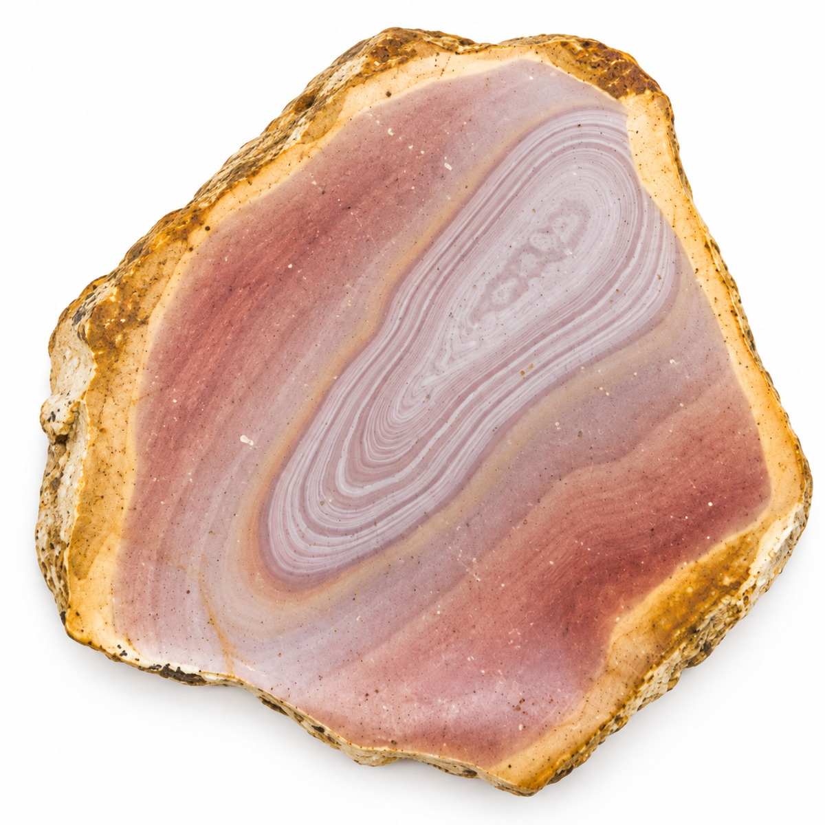 Close-up of the polished banded face of a Polychrome Jasper slice