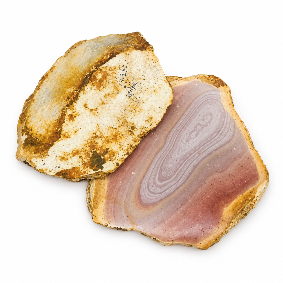 Set of two Polychrome Jasper slices showing one polished face and one raw back