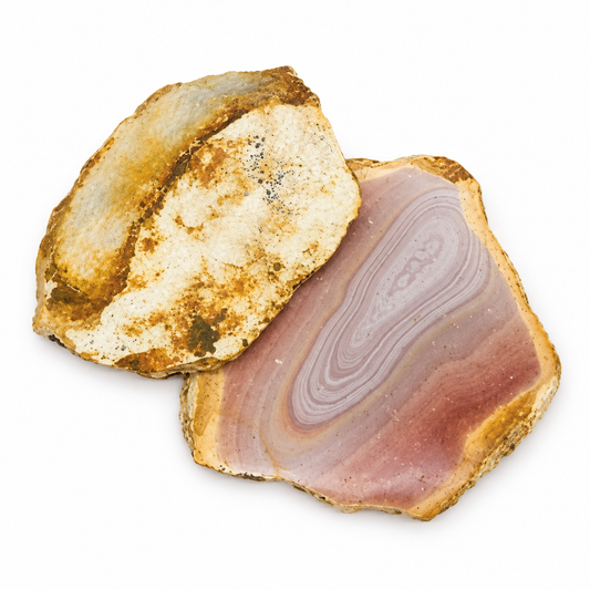 Set of two Polychrome Jasper slices showing one polished face and one raw back